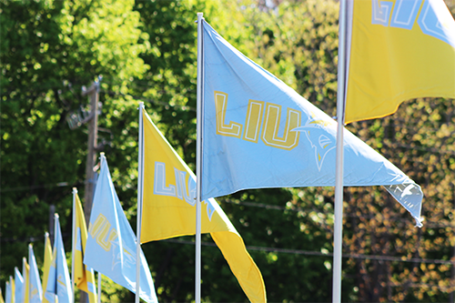 Long Island University flags