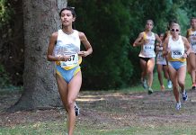 Luna Earns 3rd Rookie of the Week Honors