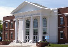 Transformative $20.5M Gift Establishes the Lewyt College of Veterinary Medicine