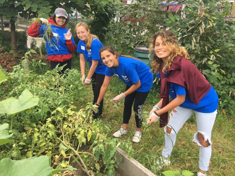 LIU Post students perform more than 1,100 hours of service during 2017 Orientation