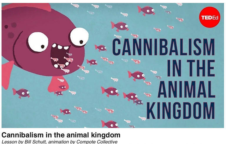 LIU Post Professor Bill Schutt Featured in TED-Ed Lesson