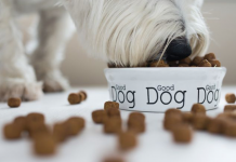 Did you know? Petfood marketing can be misleading…