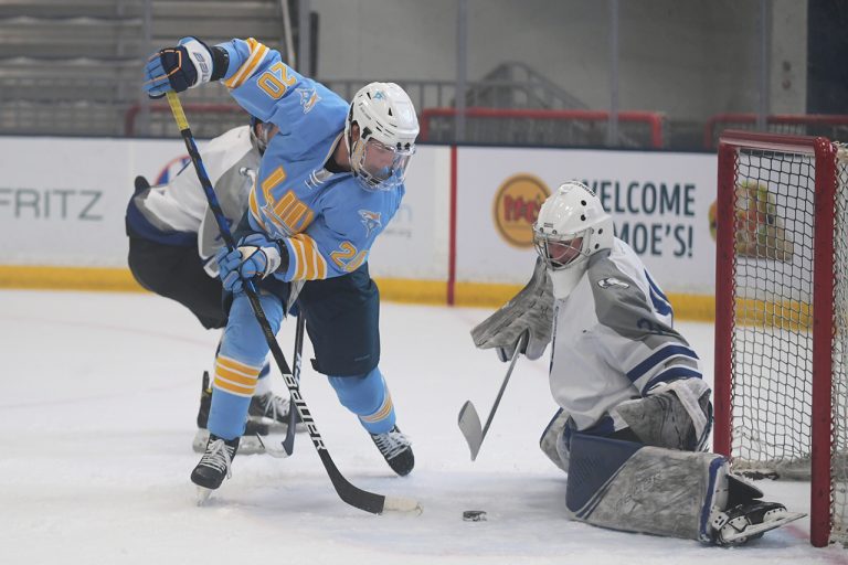 Sharks Dominate First-Ever Games on Home Ice