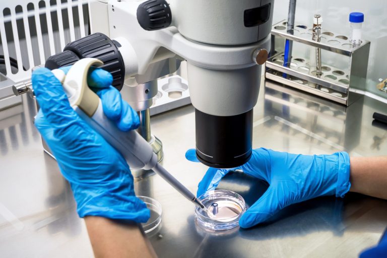 Faculty Studies Groundbreaking Brain Cancer & Kidney Disease Treatments