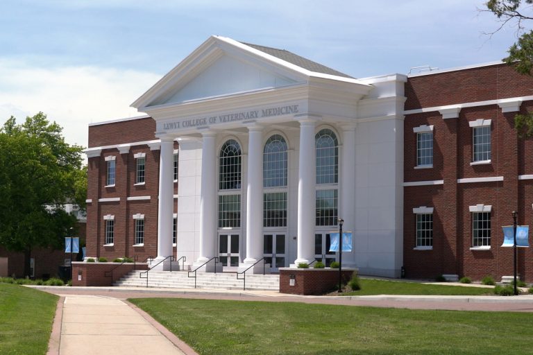 Long Island University’s Veterinary College Named Lewyt College of Veterinary Medicine in Honor of Renowned LI Philanthropists