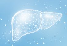 LIU Team Advances Whole-Organ Virtual Liver Model