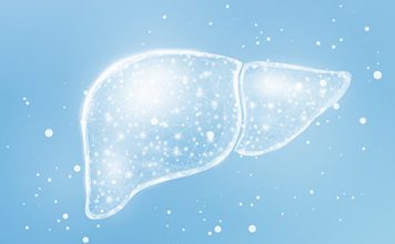 LIU Team Advances Whole-Organ Virtual Liver Model