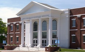 Transformative $20.5M Gift Establishes the Lewyt College of Veterinary Medicine