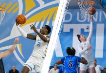 New York Post Features Sharks Basketball Success